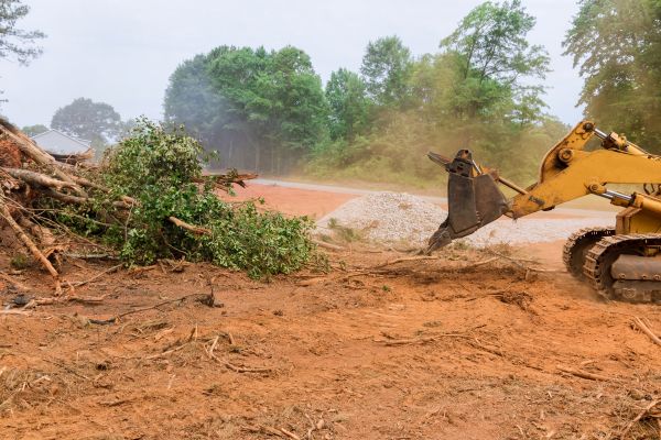 Ground Clearing in Rapid City