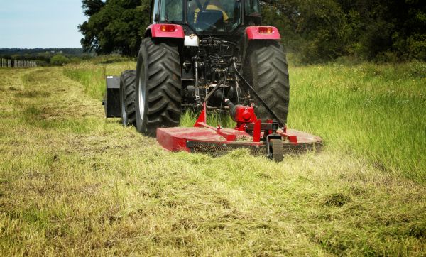 Brush Clearing Service in Rapid City