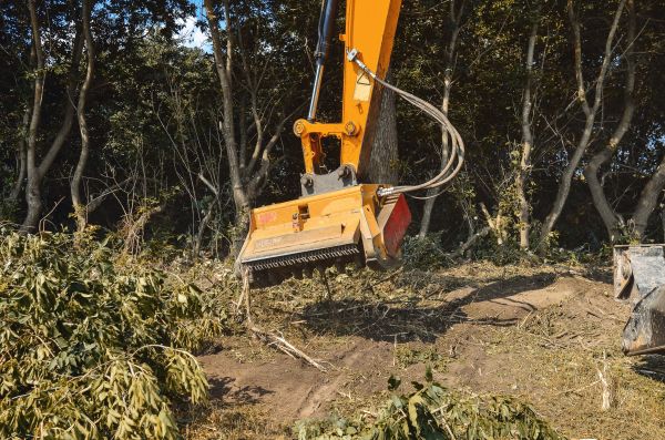 Brush Removal Service in Rapid City