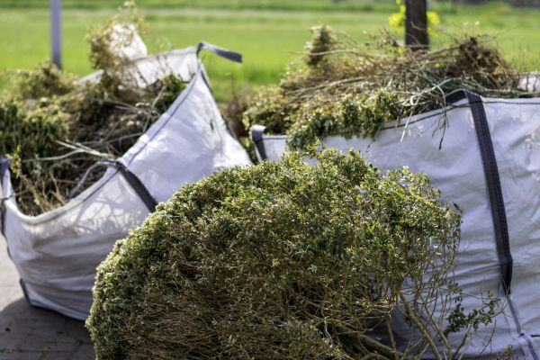 Bushes Clearing in Rapid City