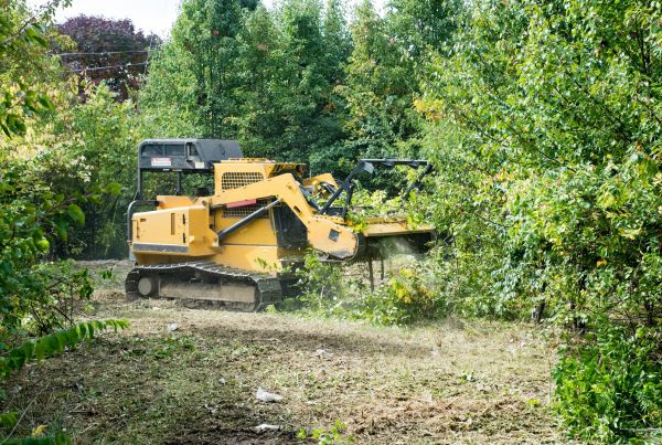 Cost of Pathway Clearing in Rapid City