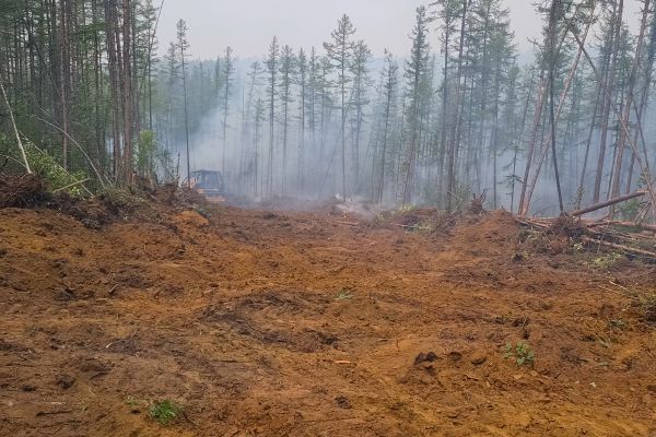 Cost of Hill Clearing in Rapid City