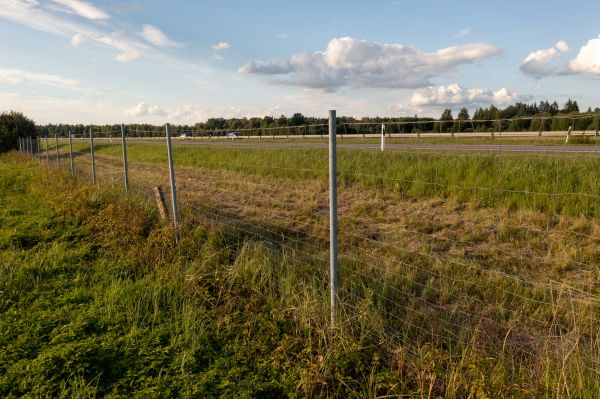 Cost of Property Line Clearing in Rapid City