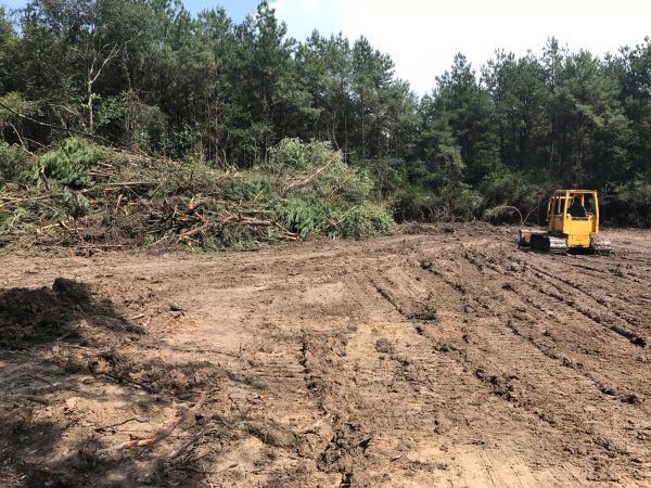 Cost of Thicket Clearing in Rapid City