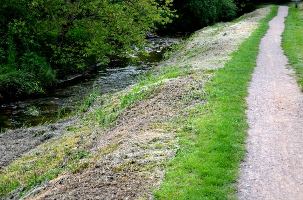Cost of Trail Cutting in Rapid City